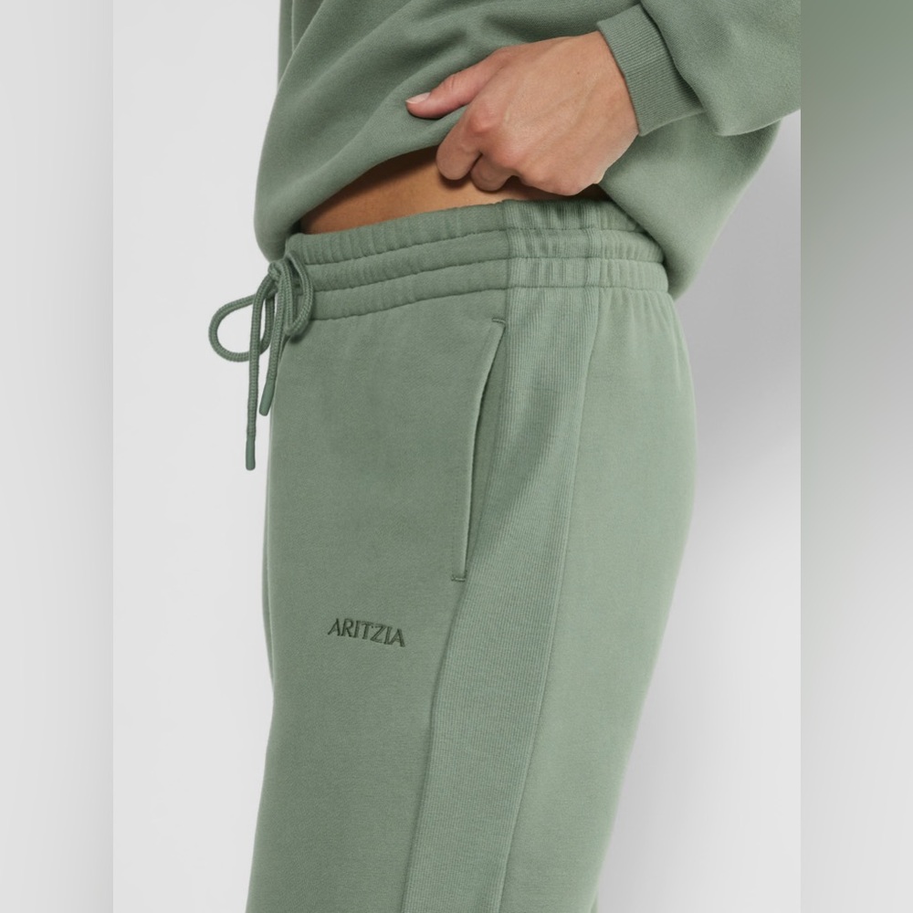 Aritzia Cozy Fleece Boyfriend Sweatpant Smoky Sage Green XS